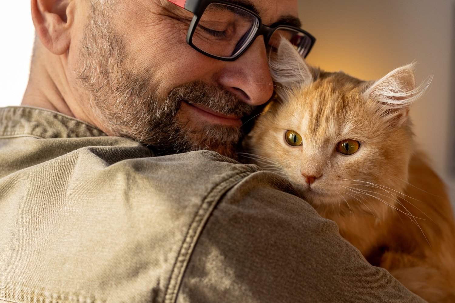Mann umarmt eine rote Katze